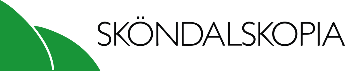 Sköndalskopia